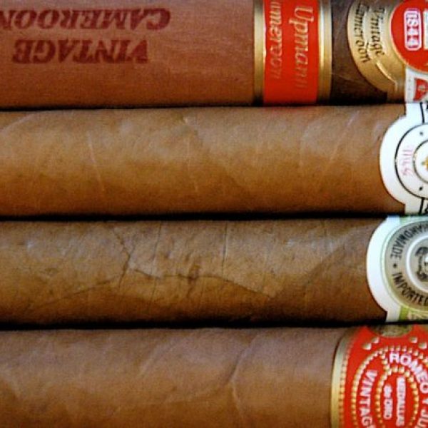 cat-tobacconist